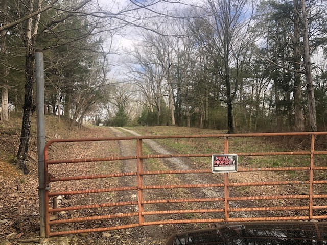 334 Cathcart Road Frankewing, TN 38459 - Photo 5 of 25 a view of a court
