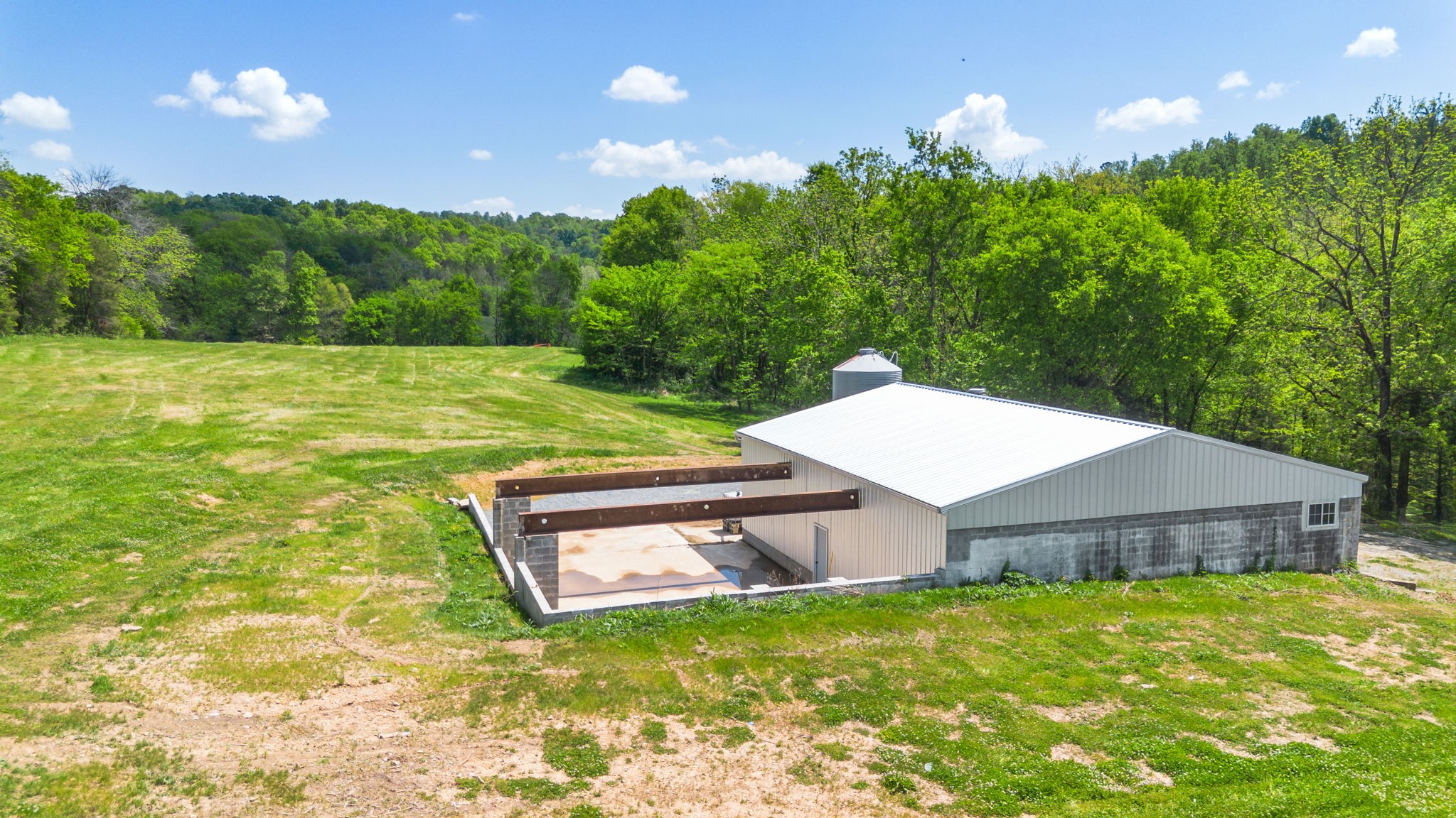 334 Cathcart Road Frankewing, TN 38459 - Photo 6 of 30 a backyard of a house with lots of green space