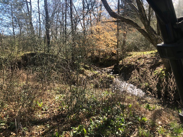 334 Cathcart Road Frankewing, TN 38459 - Photo 6 of 25 a view of a tree