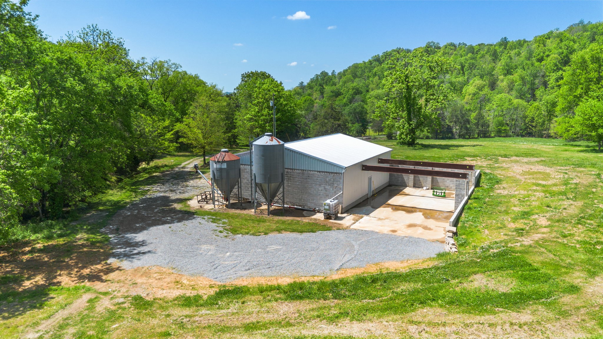 334 Cathcart Road Frankewing, TN 38459 - Photo 7 of 30 a view of a backyard with plants and trees