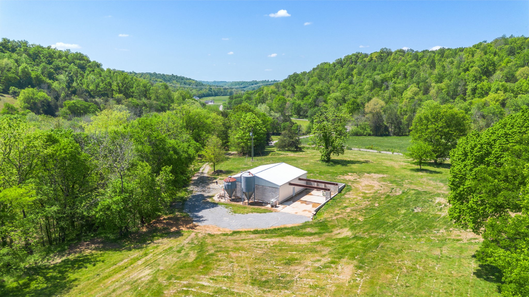 334 Cathcart Road Frankewing, TN 38459 - Photo 8 of 30 a view of a swimming pool with a patio