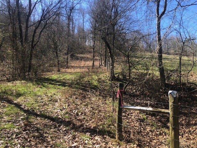 334 Cathcart Road Frankewing, TN 38459 - Photo 8 of 25 a backyard of a house with lots of green space
