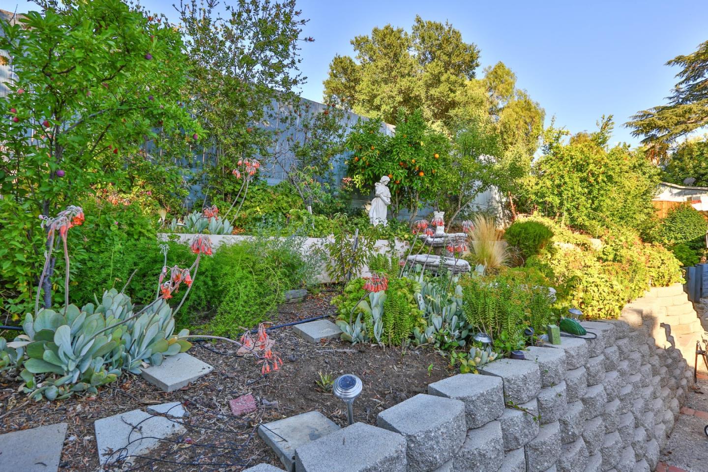 10068 Clayton Road San Jose, CA 95127 - Photo 32 of 34 a backyard of a house with lots of green space