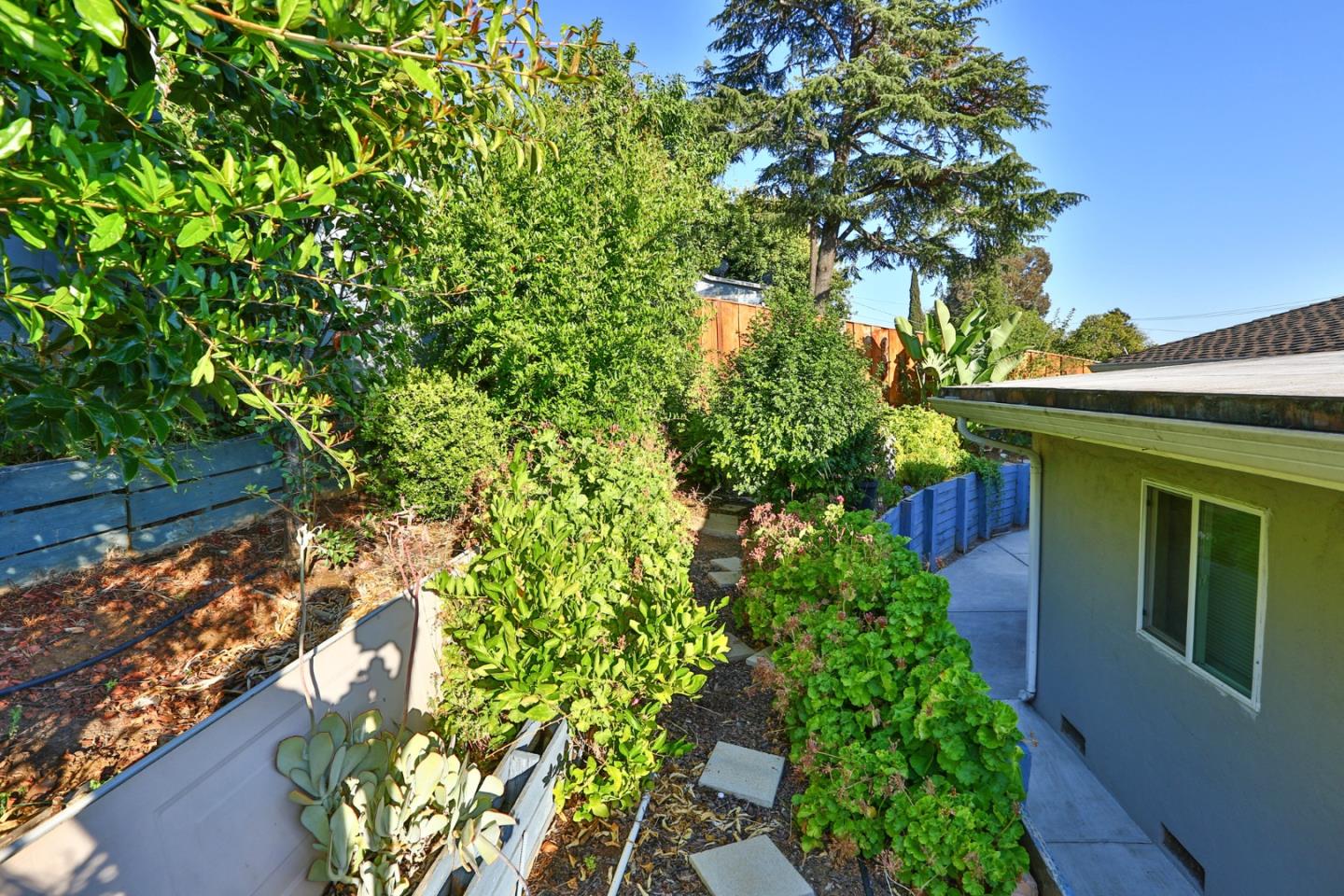 10068 Clayton Road San Jose, CA 95127 - Photo 33 of 34 a plant is in a garden