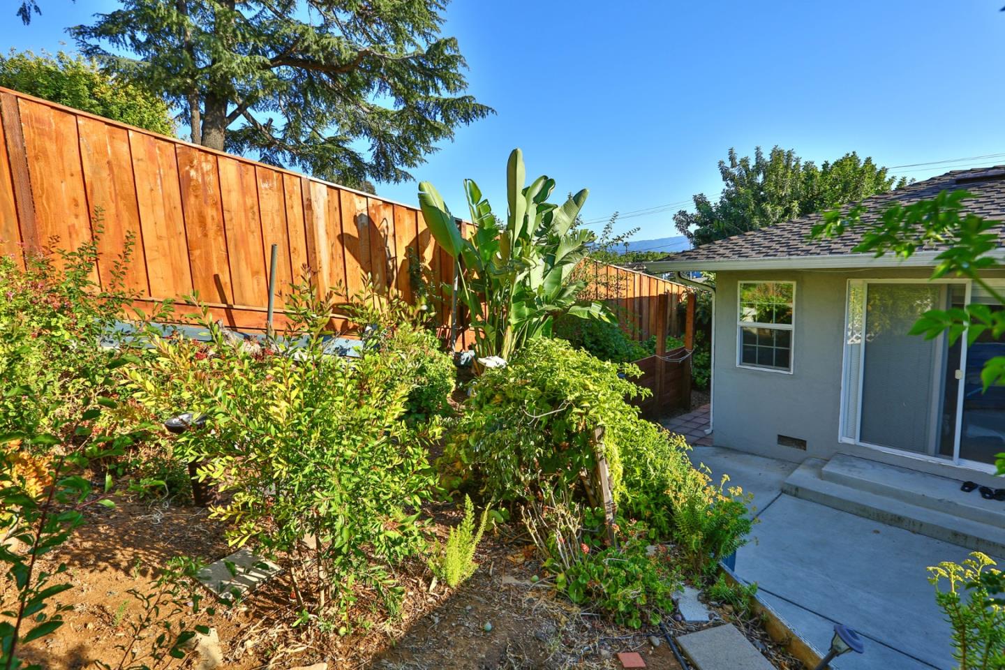 10068 Clayton Road San Jose, CA 95127 - Photo 34 of 34 a view of a backyard with plants