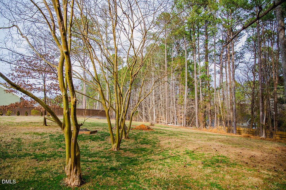 7114 Guess Road Hillsborough, NC 27278 - Photo 57 of 70 G26 copy