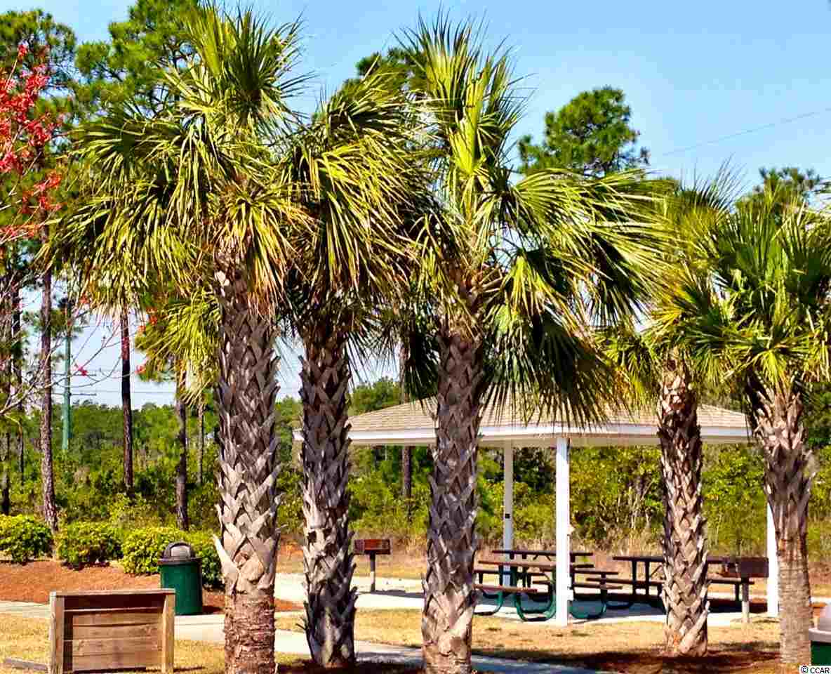 300 Highfield Loop Myrtle Beach, SC 29579 - Photo 22 of 25 Gallery Image 22
