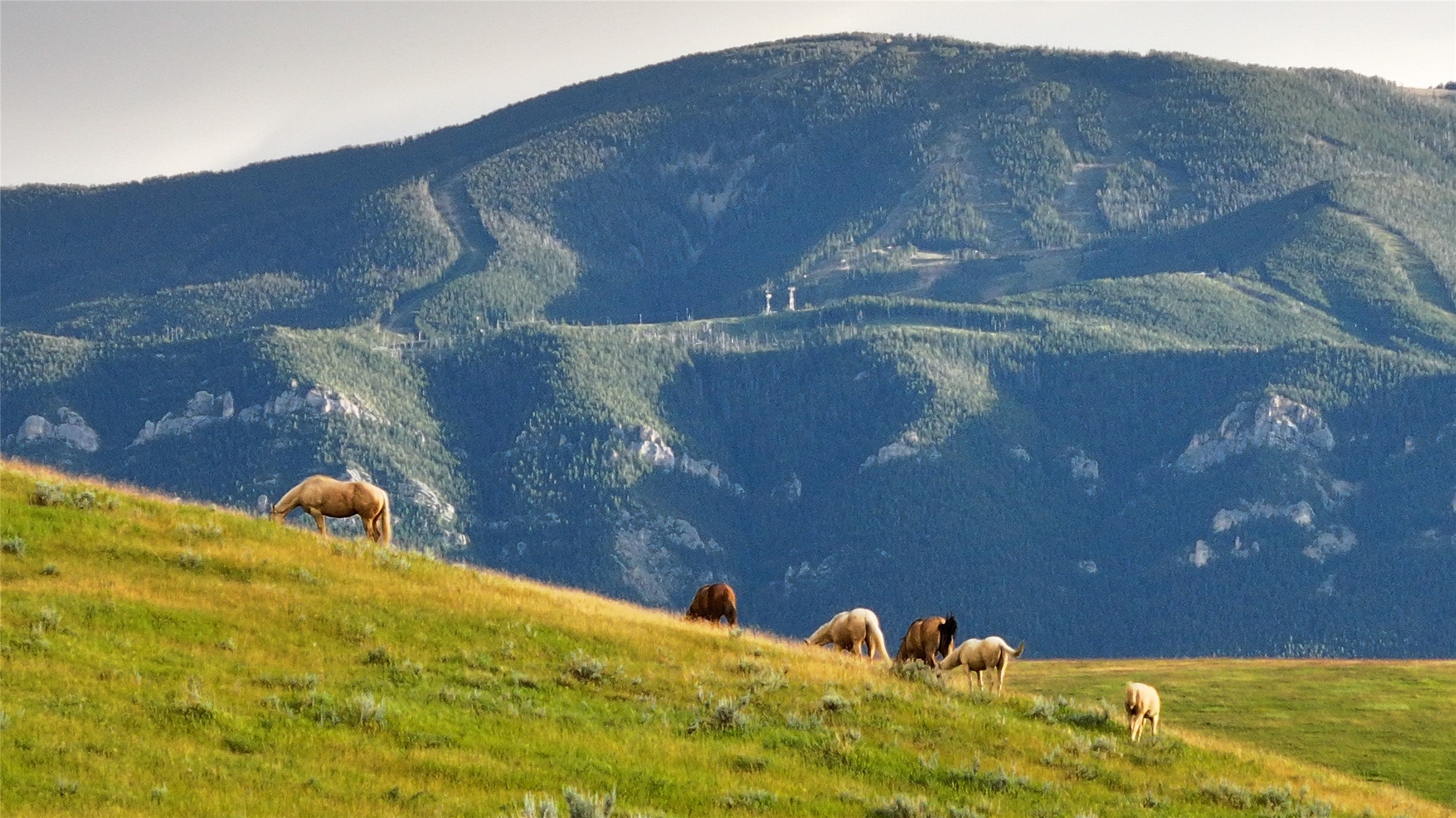 581 Willow Creek Road Red Lodge, MT 59068 - Photo 64 of 64 Gallery Image 64