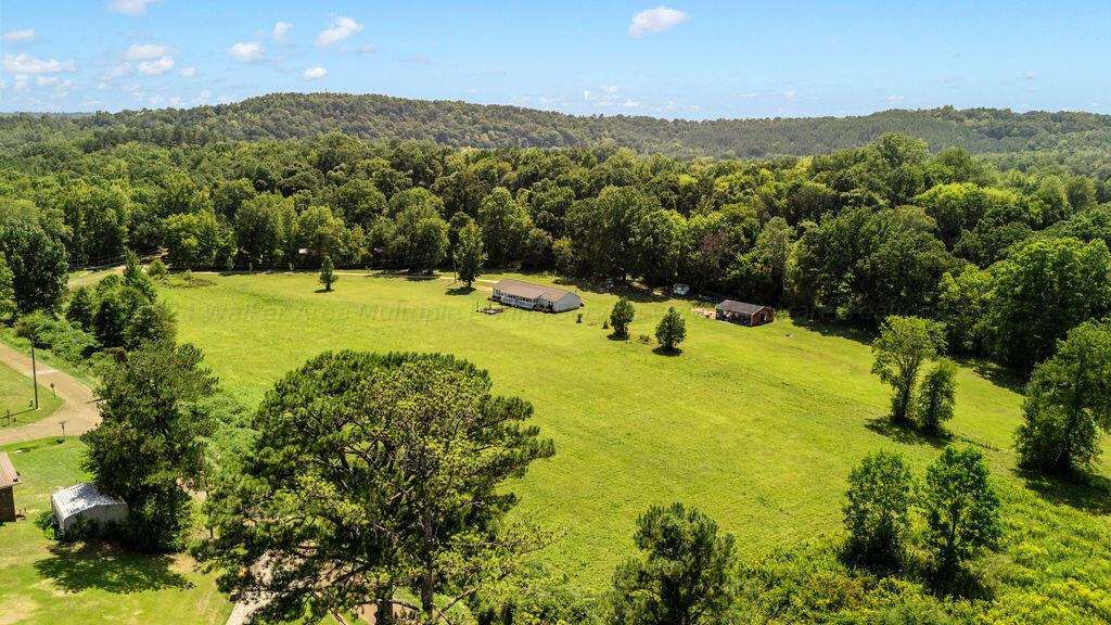 429 Crestview Heights Road Cordova, AL 35550 - Photo 1 of 22 Gallery Image 1