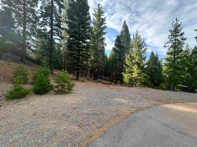 a view of a field with trees in the background
