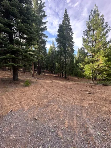 a view of outdoor space with trees