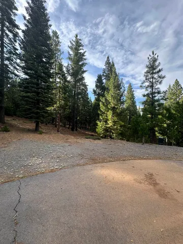 a view of a yard with a tree