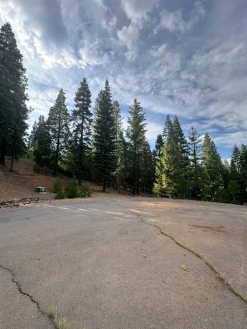 a view of a field with trees in background
