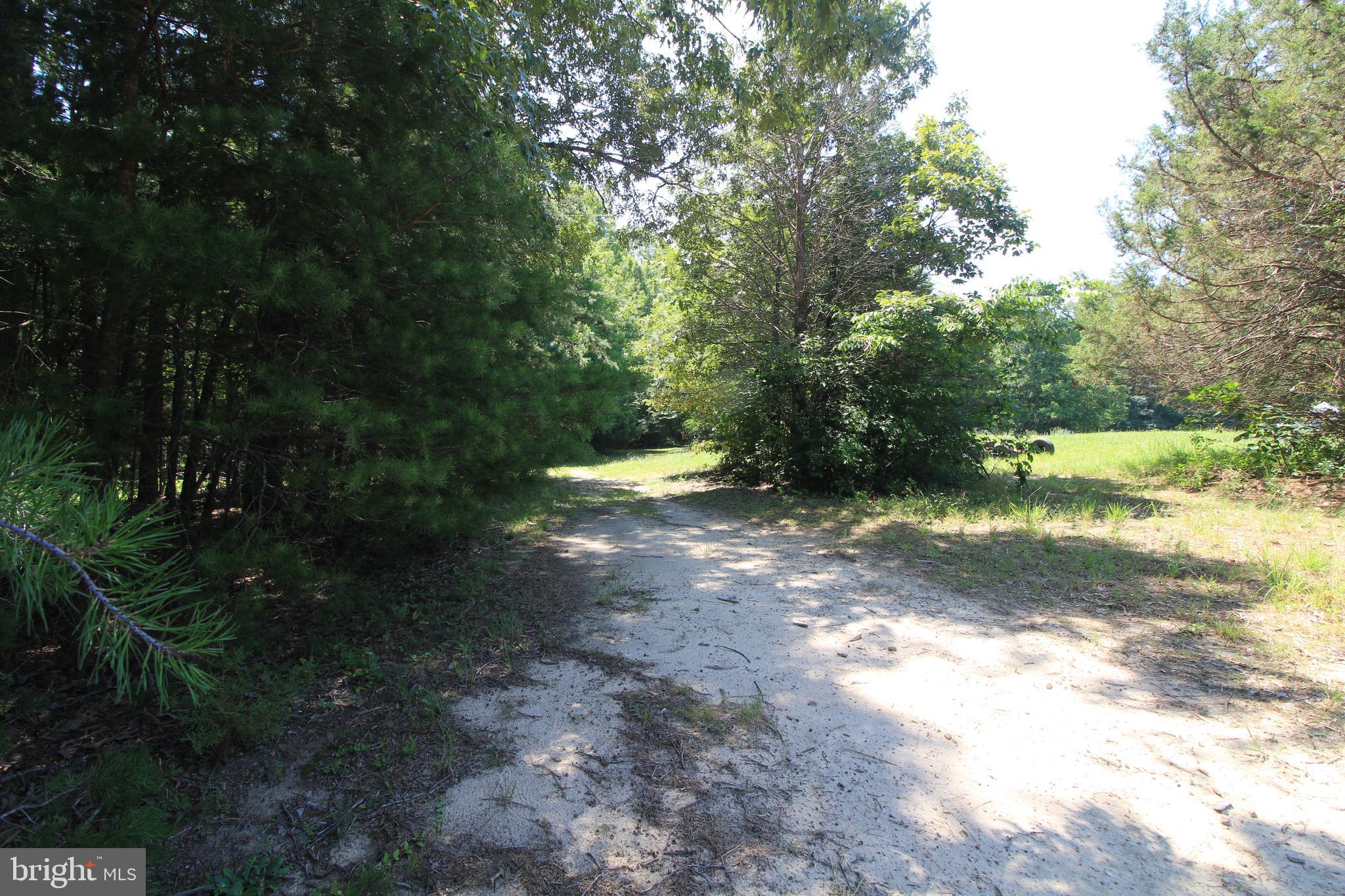 512 Mountain Hall Road Crewe, VA 23930 - Photo 41 of 50