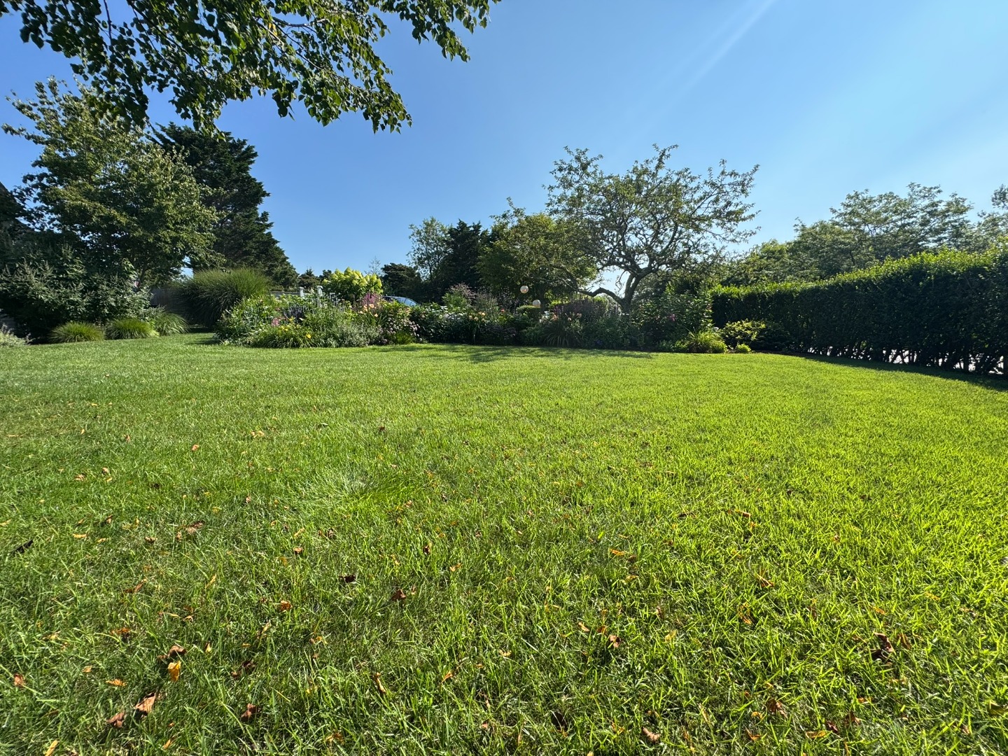 1 Halyard Lane Nantucket, MA 02554 - Photo 54 of 59 a view of a field of grass and a tree