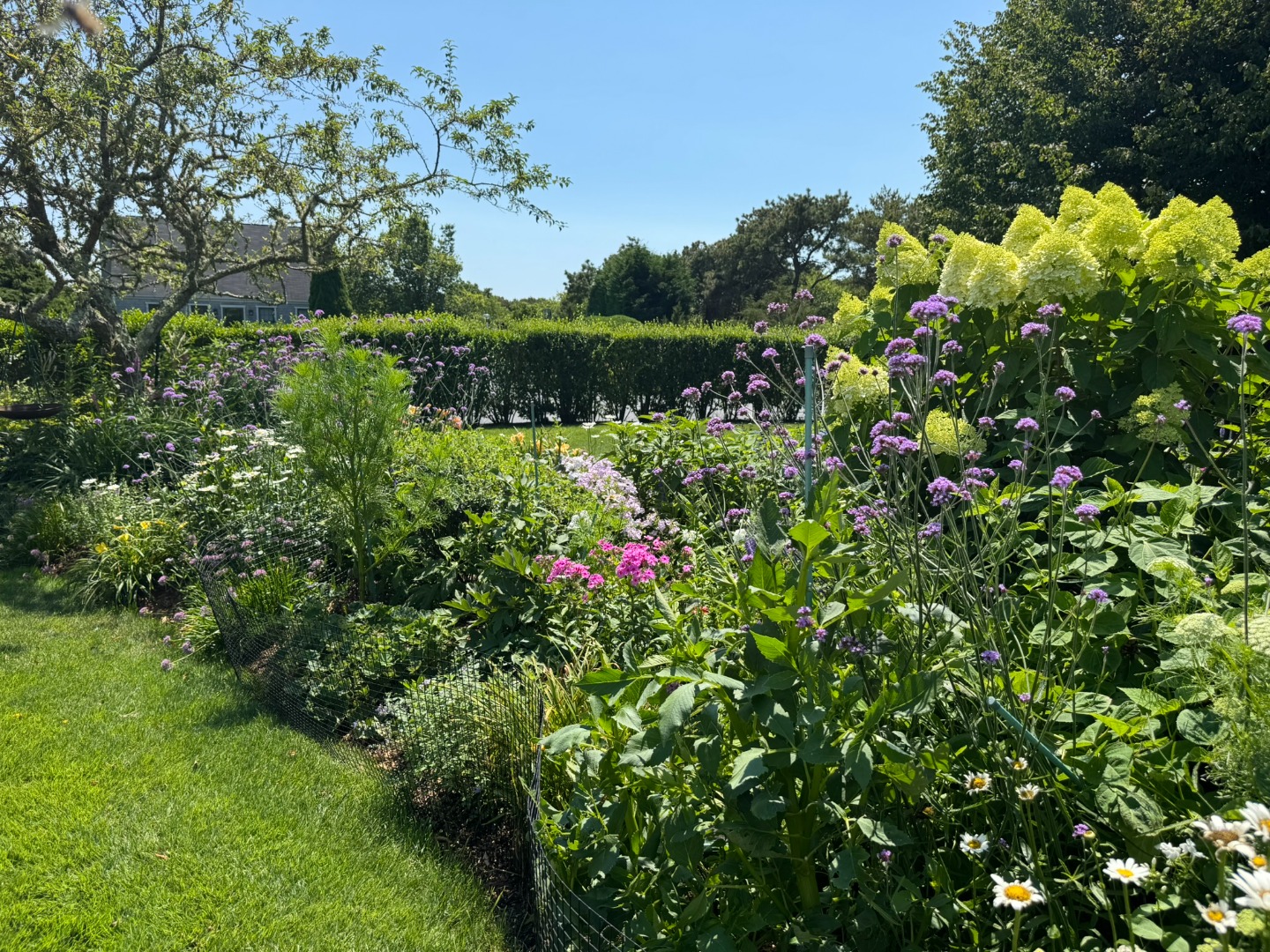 1 Halyard Lane Nantucket, MA 02554 - Photo 9 of 59 a view of a flower in a garden