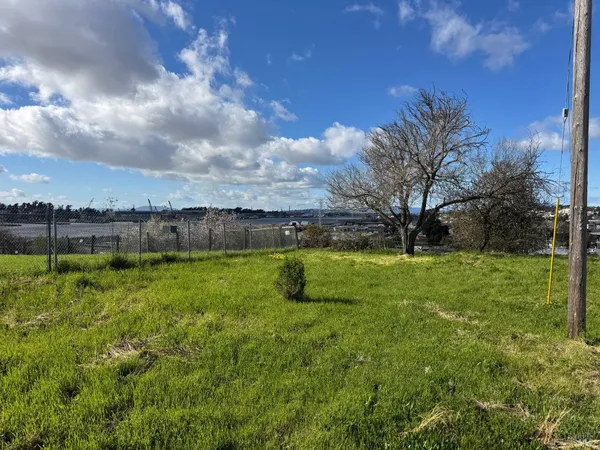 a view of yard with swimming pool and green