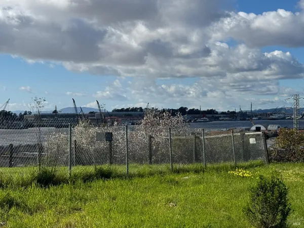 a view of a lake from a yard
