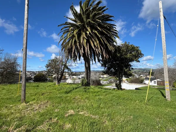 a view of a yard with a slide