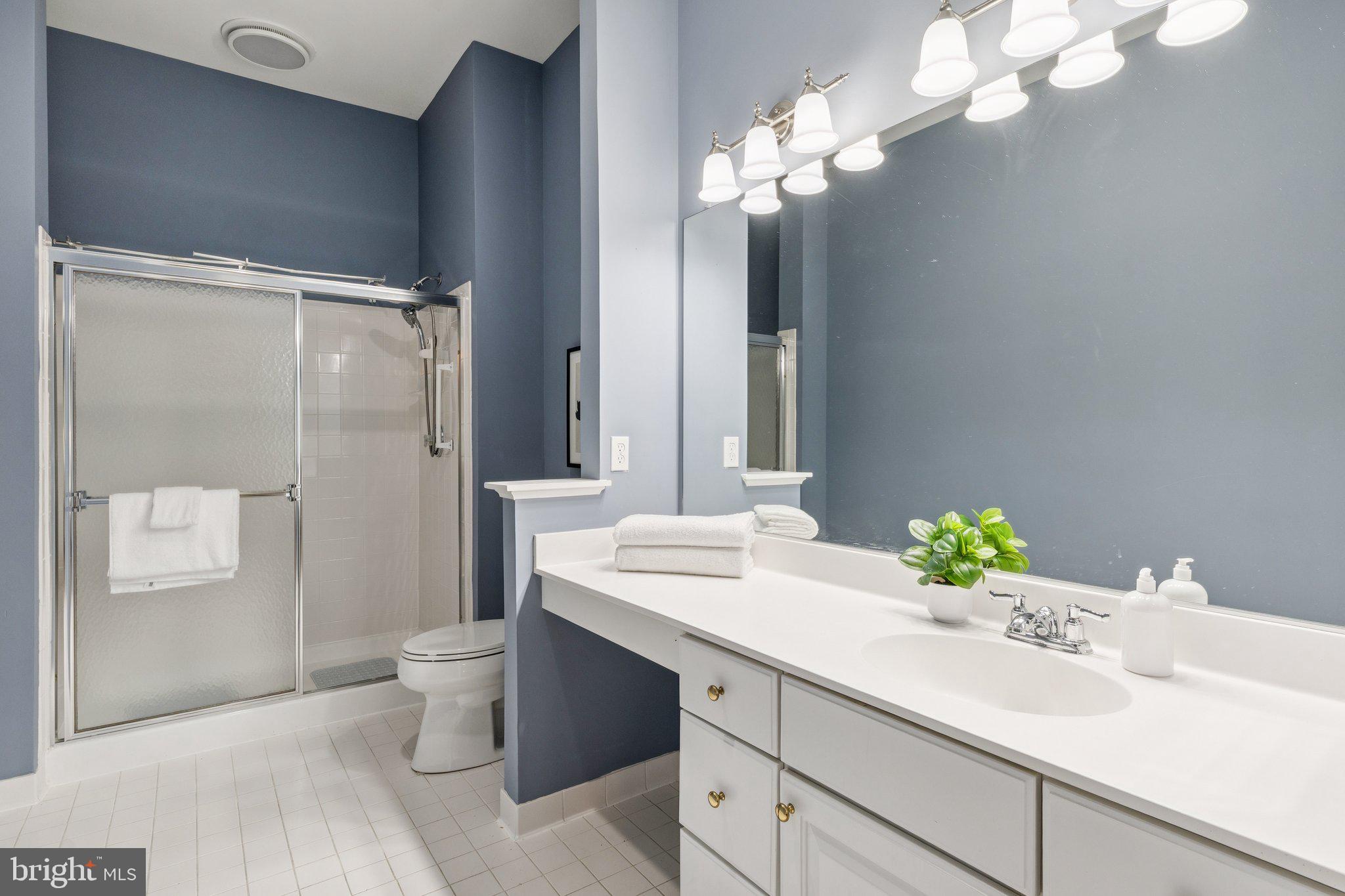 381 Colony Point Place Edgewater, MD 21037 - Photo 23 of 37 a bathroom with a sink a large mirror and a shower