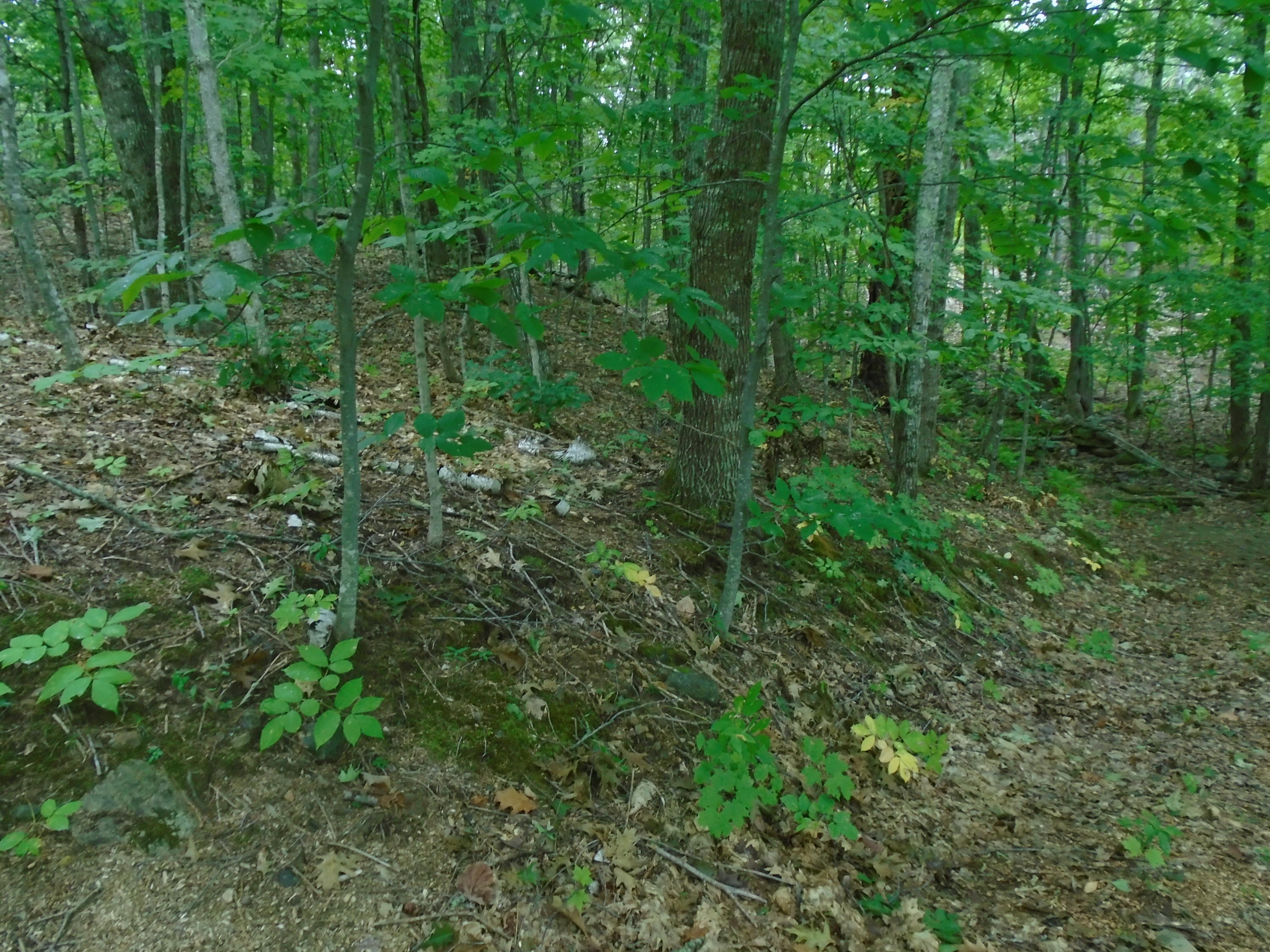 216 Sanborn Road Newfield, ME 04095 - Photo 28 of 33 DSC02094
