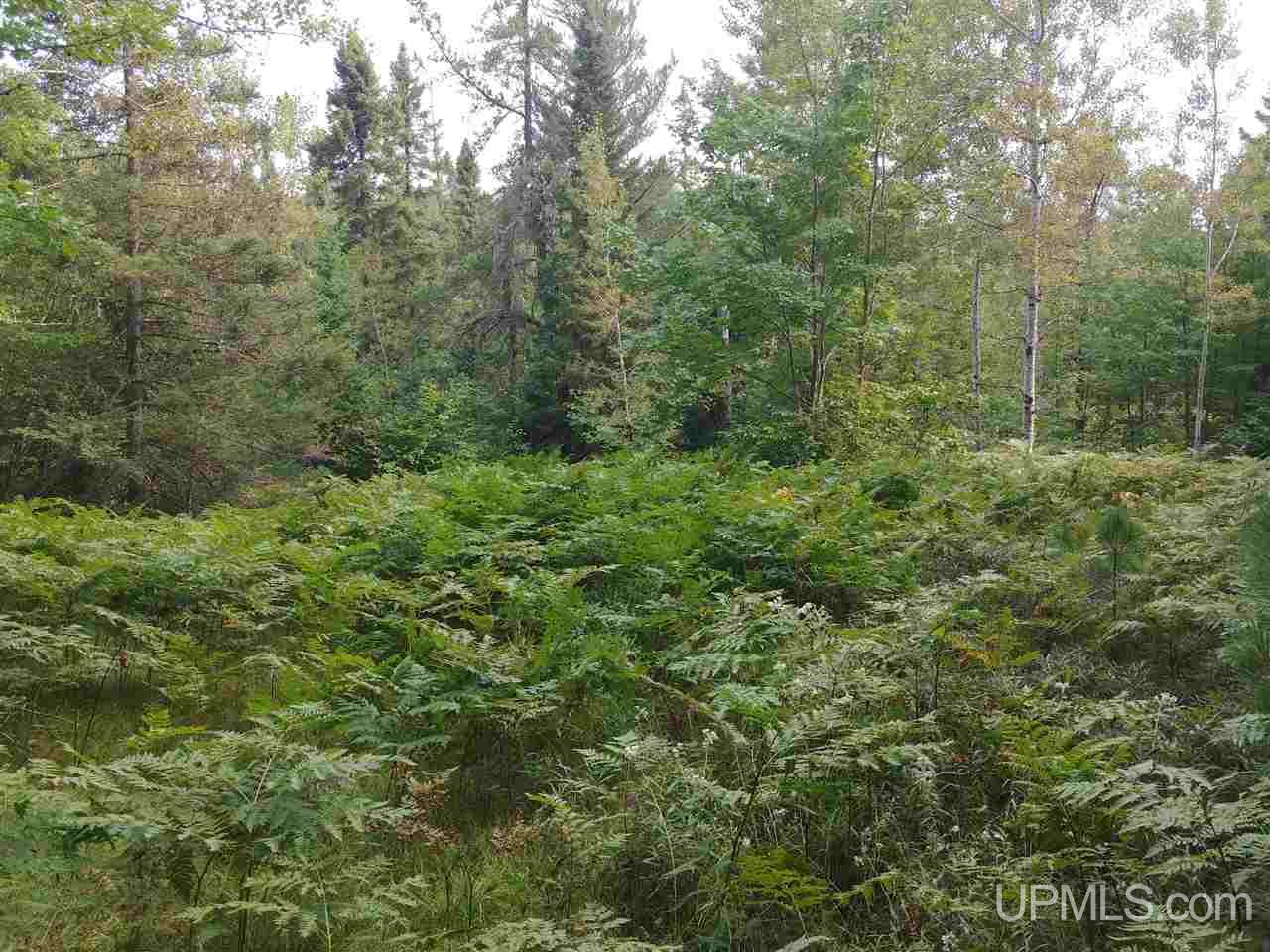 42-acres 42-acres Co Road Ishpeming, MI 49849 - Photo 10 of 16