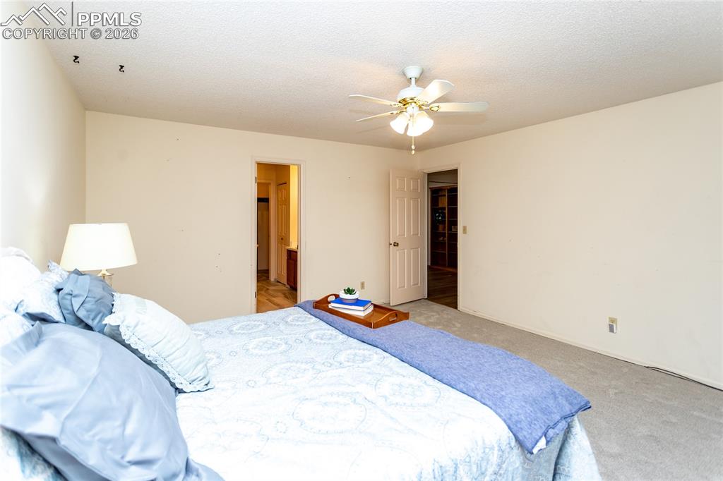 2053 Windham Way Colorado Springs, CO 80906 - Photo 30 of 49