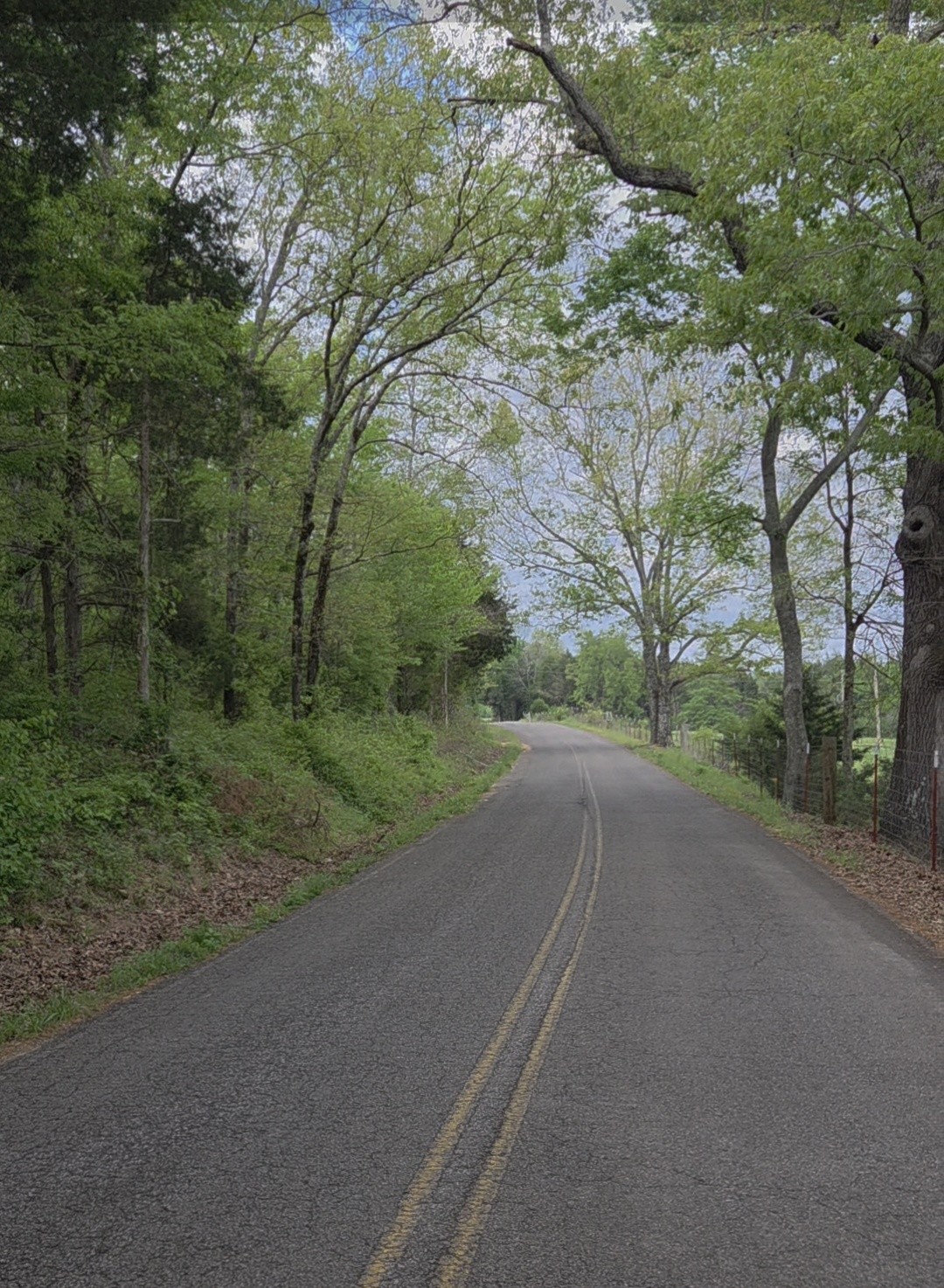 0 Red Bank Road Lobelville, TN 37097 - Photo 8 of 22 a view of a road from a yard