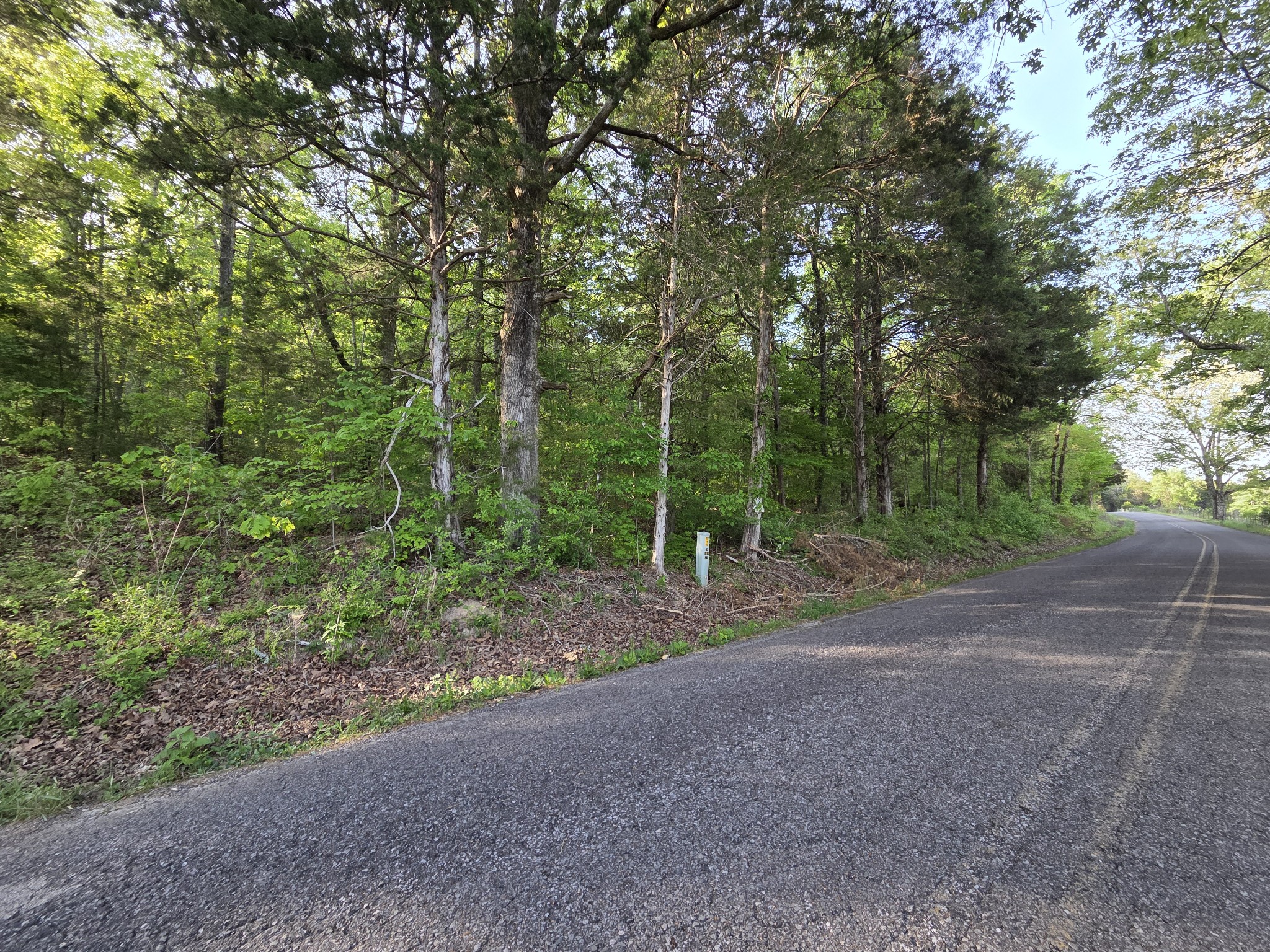 0 Red Bank Road Lobelville, TN 37097 - Photo 10 of 22 a view of a forest with trees in the background