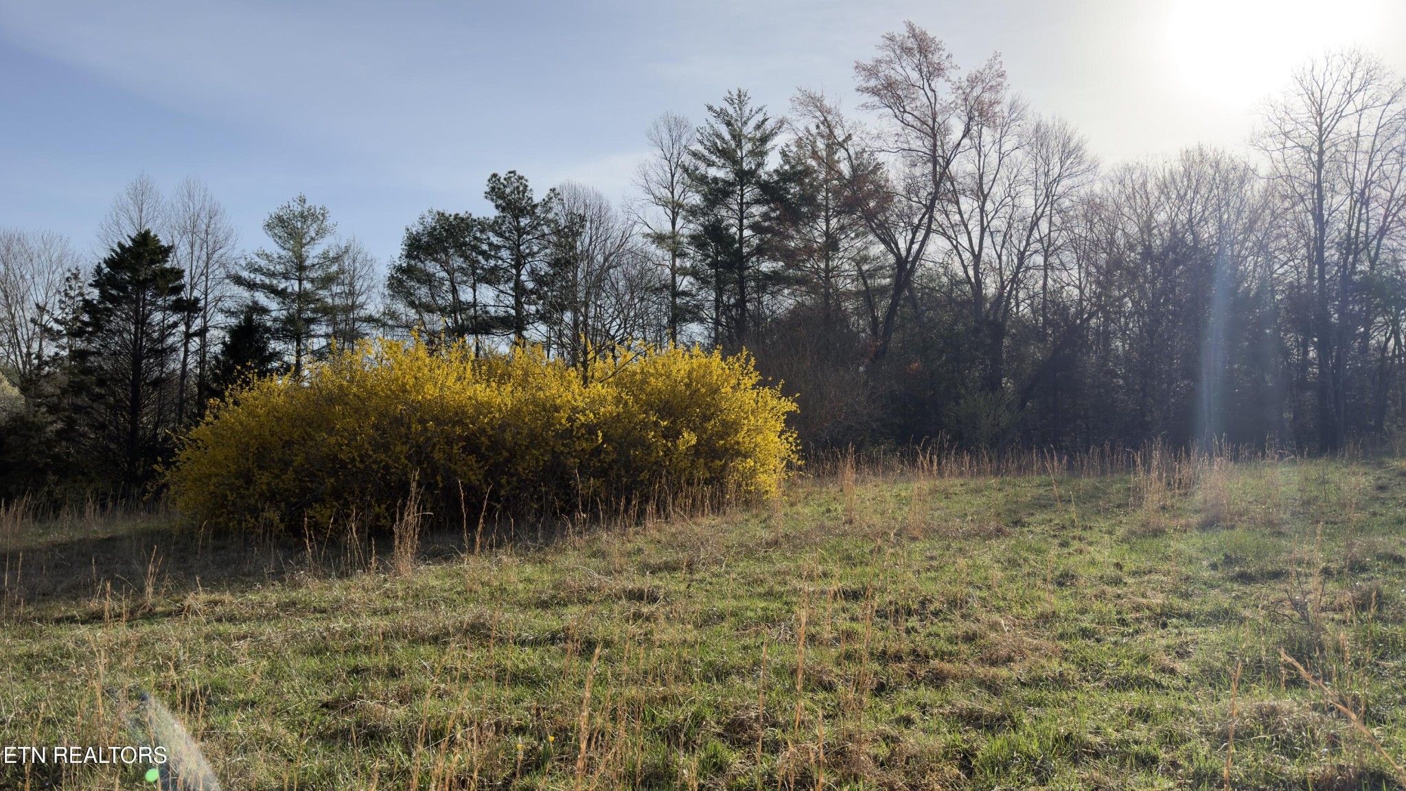 577 Blizzard Mines Road Harriman, TN 37748 - Photo 33 of 41 Gallery Image 33