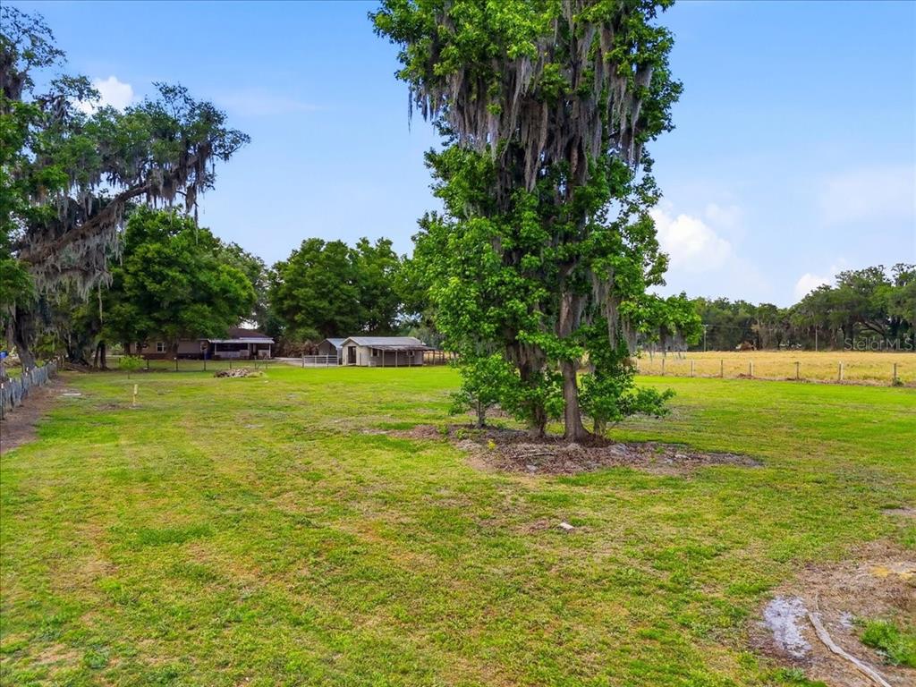 4205 North Combee Road Lakeland, FL 33805 - Photo 42 of 52 Gallery Image 42
