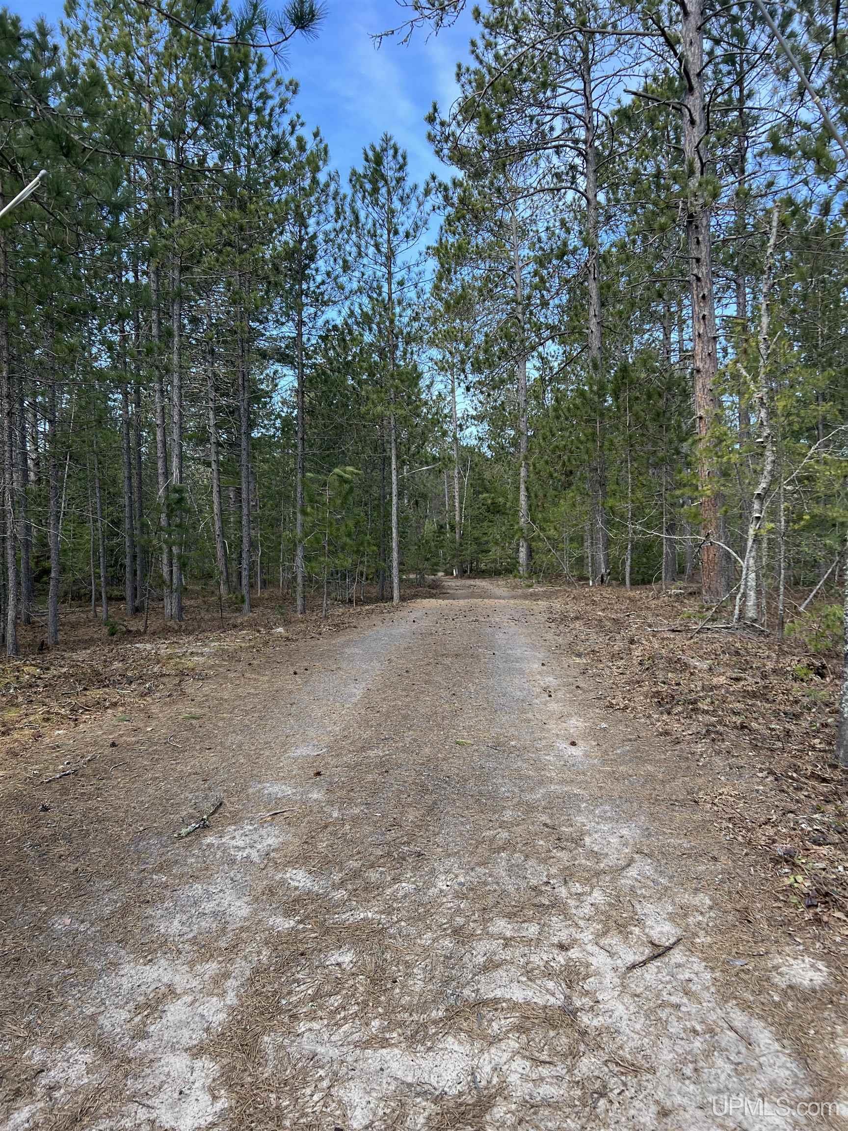 50428 Louis Point Road Lake Linden, MI 49945 - Photo 28 of 46
