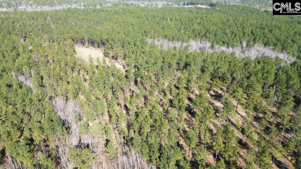 River Road Winnsboro, SC 29180 - Photo 9 of 20