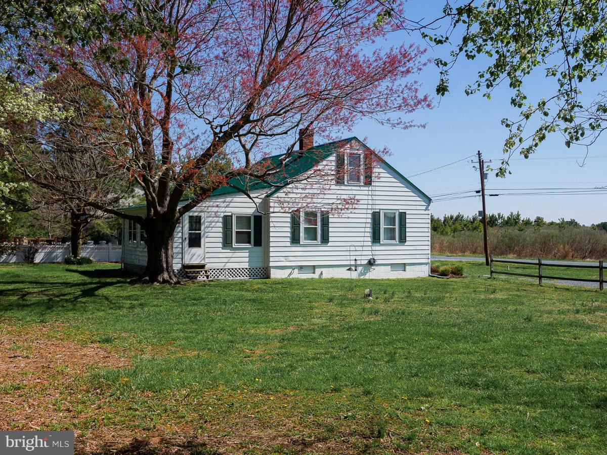 Exterior (General)