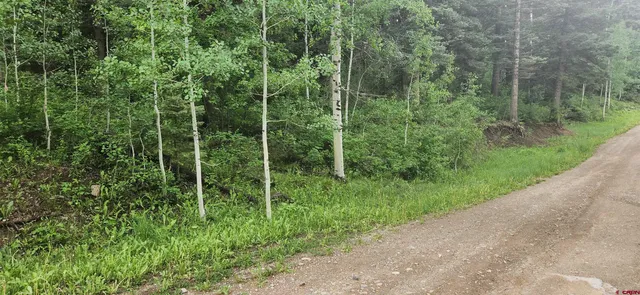 a view of green field