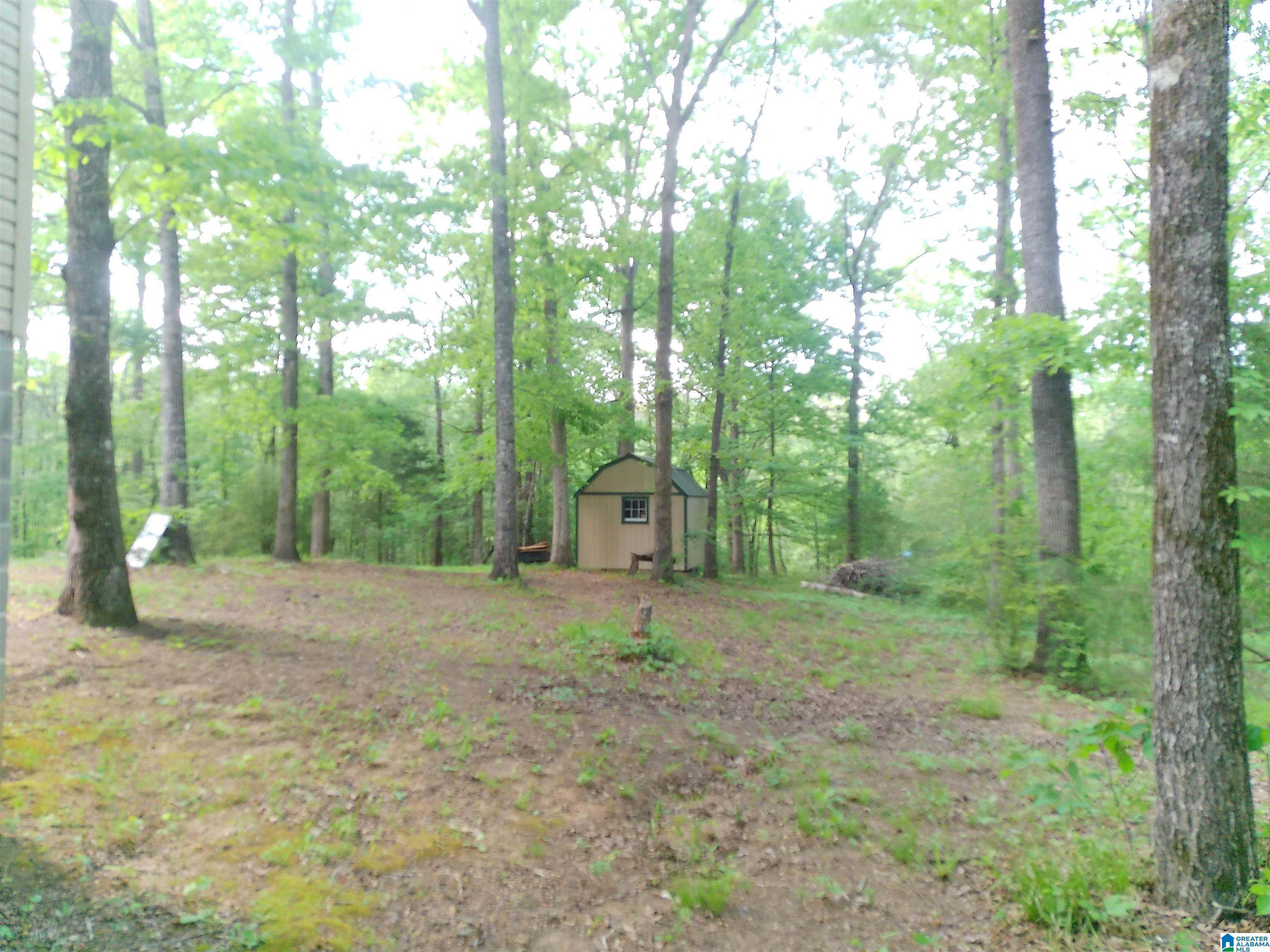 12156 Davis Creek Road McCalla, AL 35111 - Photo 31 of 38