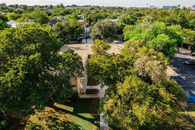 a view of a yard with plants