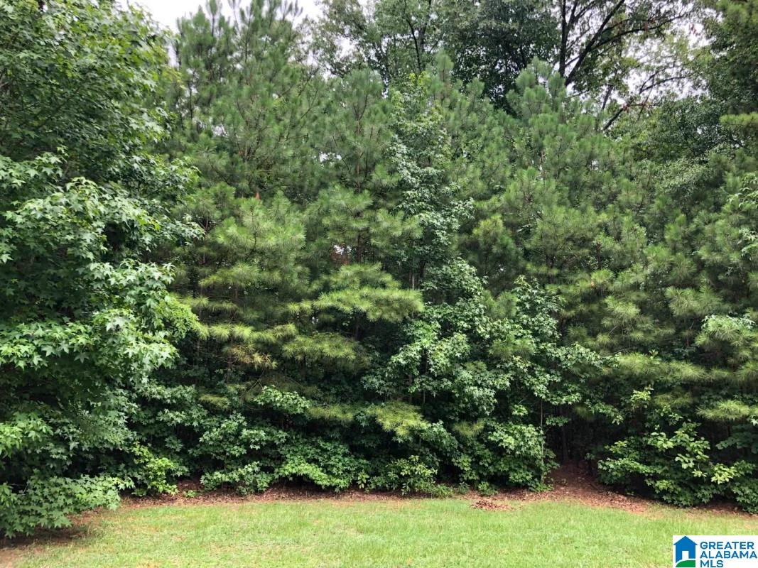 1091 Stagg Run Trail Pelham, AL 35124 - Photo 6 of 6