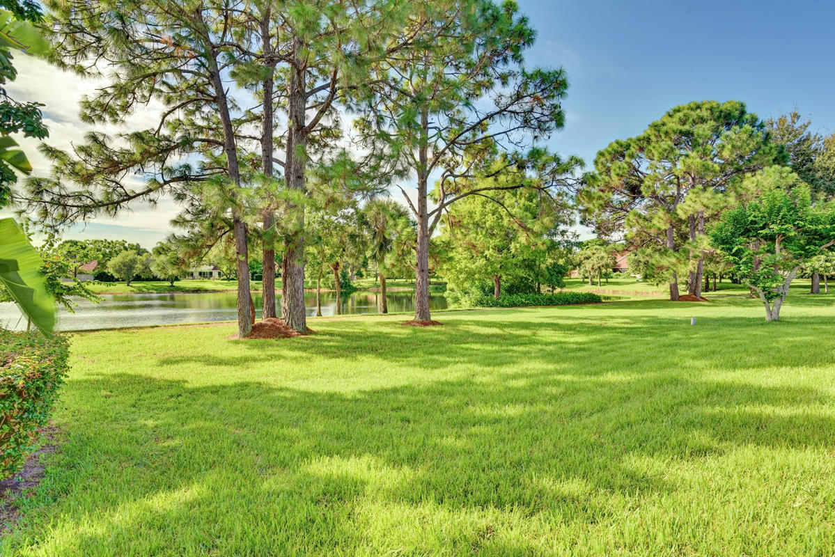 6390 Woodbury Road Boca Raton, FL 33433 - Photo 6 of 24 Backyard view