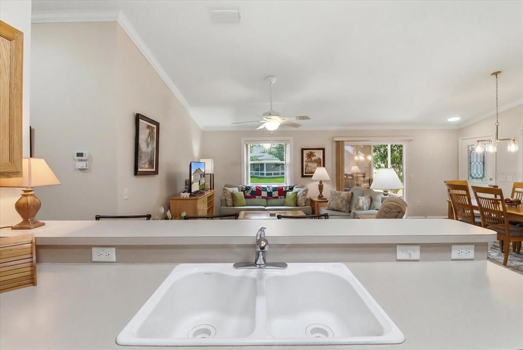 2348 Riley Road The Villages, FL 32162 - Photo 20 of 46
