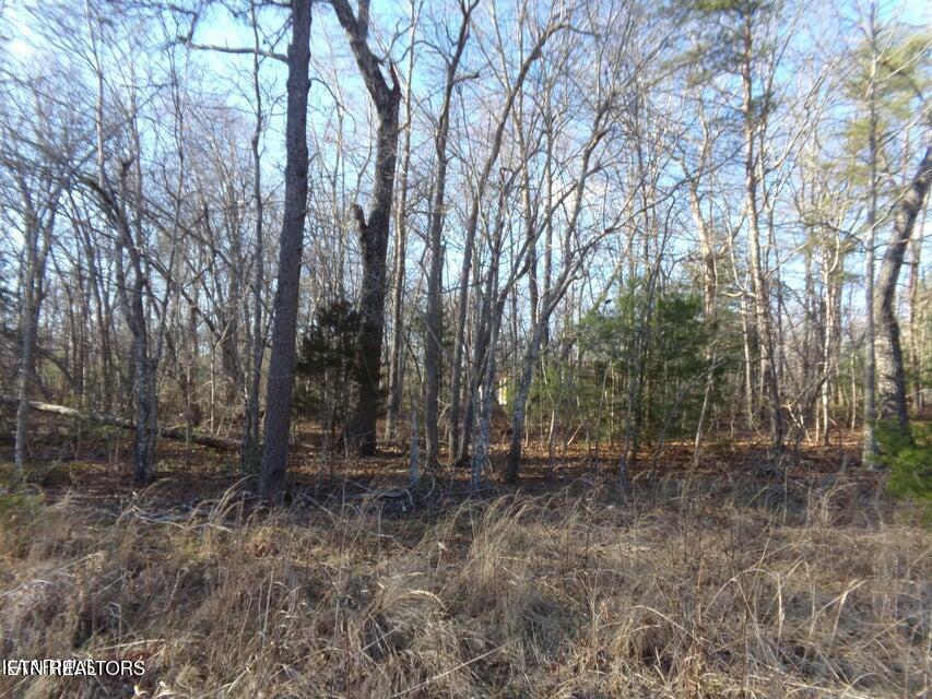 3059 Shawnee pic 2