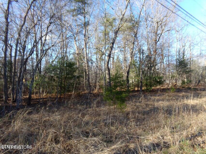 3059 Shawnee pic