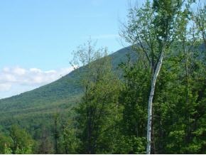 Under The Mtn Road Londonderry, VT 05148 - Photo 2 of 4 Gallery Image 2