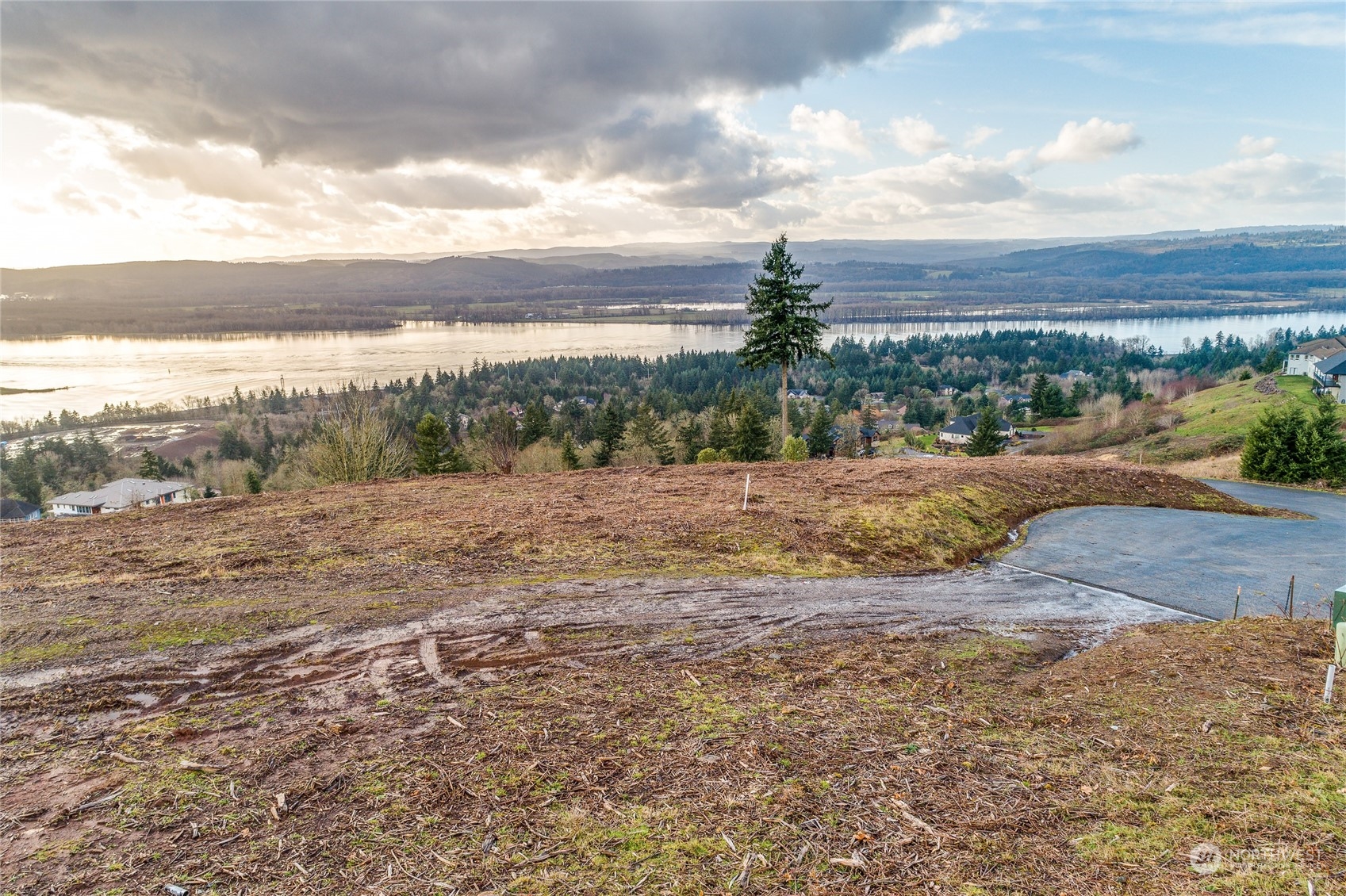 a view of a dry yard with wooden fence