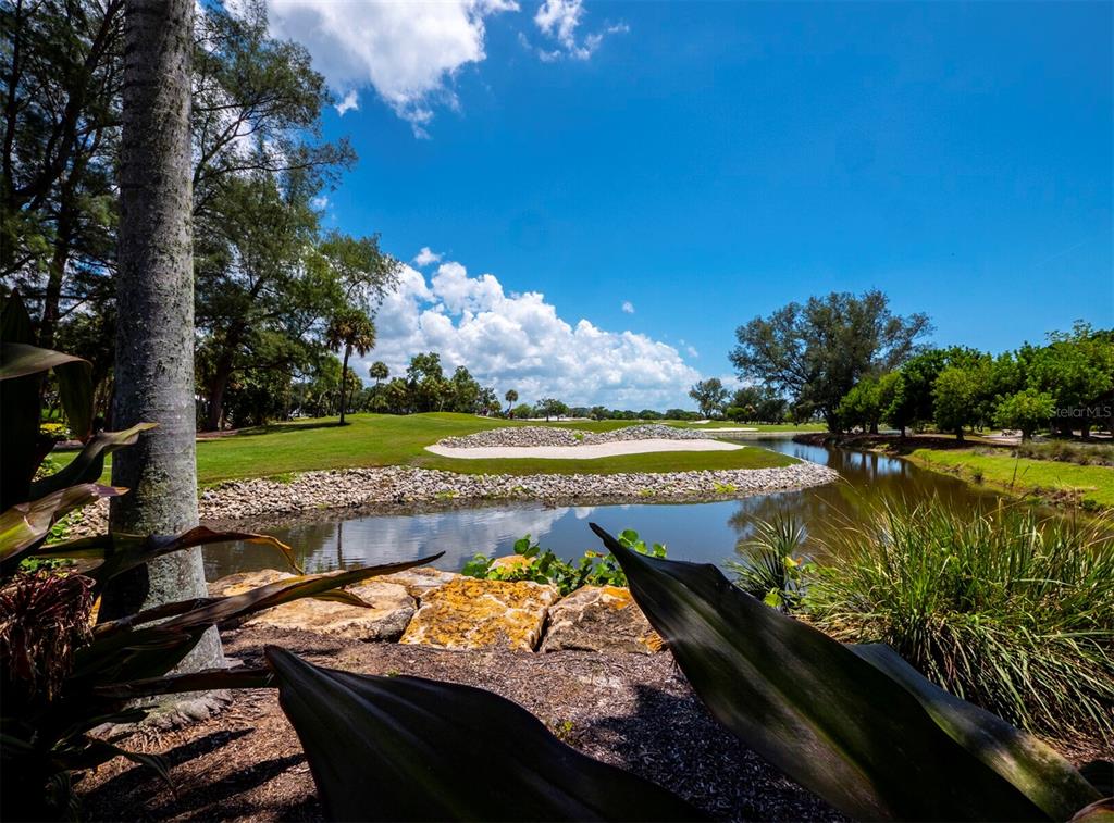 3408 Fair Oaks Lane Longboat Key, FL 34228 - Photo 68 of 76 a view of a swimming pool with a yard