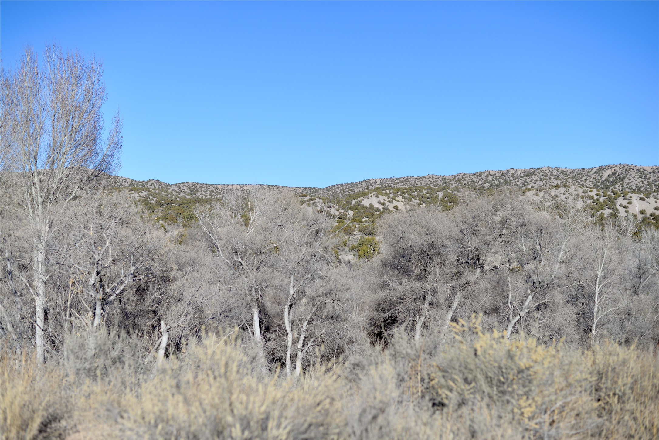0 Nm-215 El Rito, NM 87530 - Photo 9 of 12 View to the East, from the Eastern side of the property.