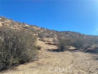 0 Dry Creek Road Pinon Hills, CA 92372 - Photo 3 of 4