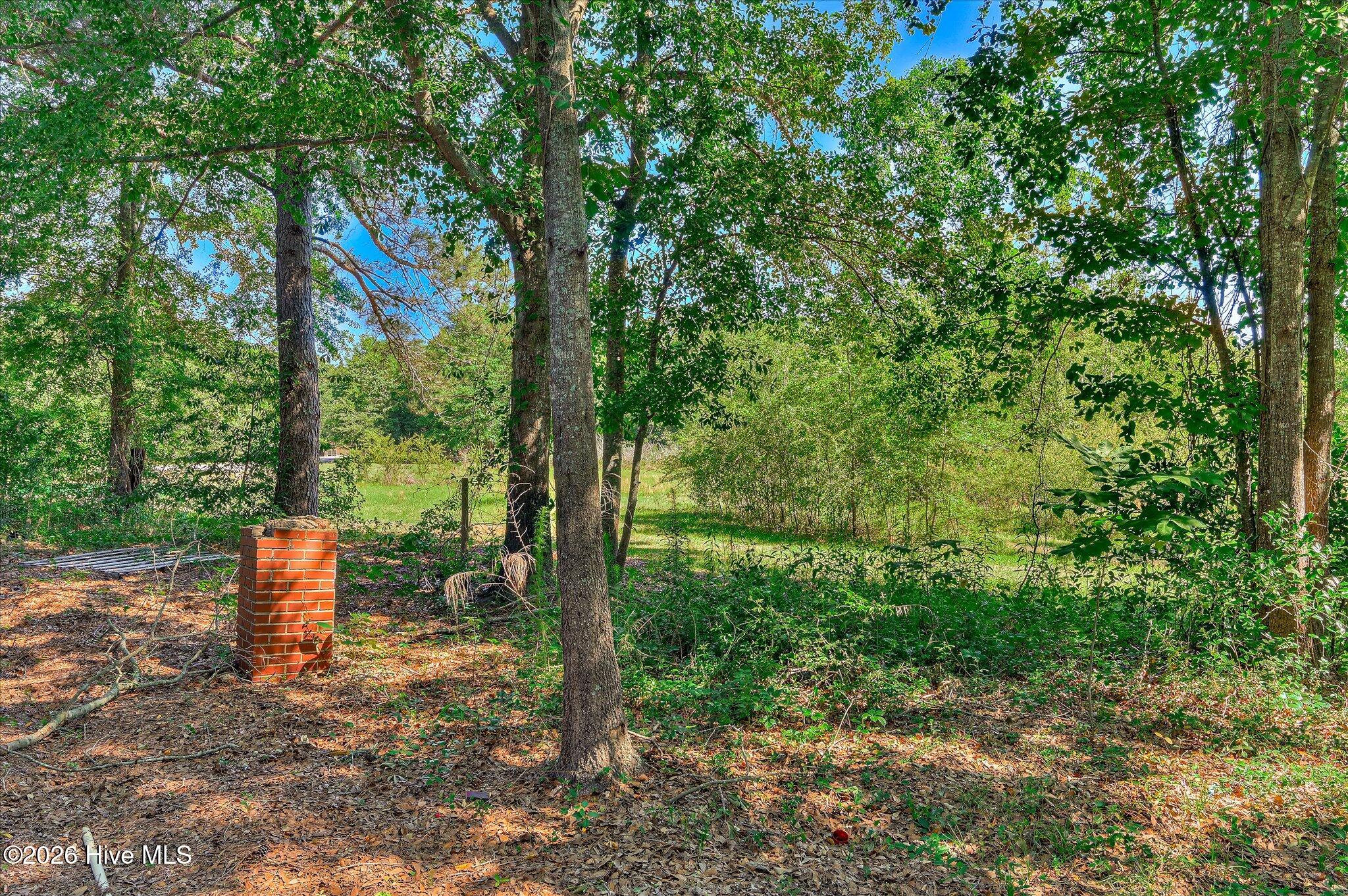 539 Beaver Dam Road Aiken, SC 29805 - Photo 18 of 19 20-120