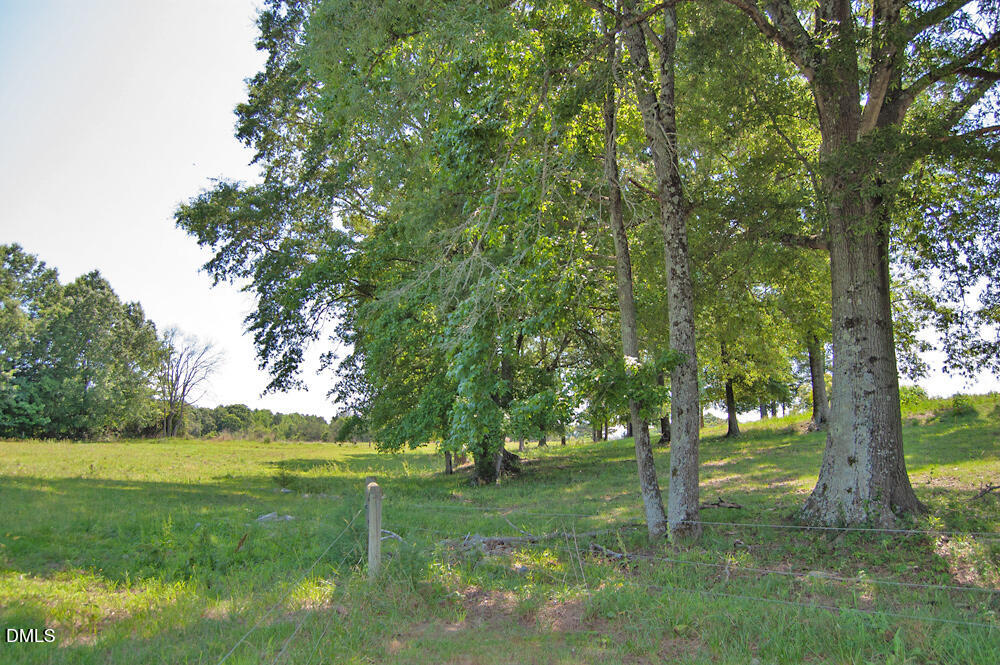 9166 Tilley Road Bullock, NC 27507 - Photo 15 of 86