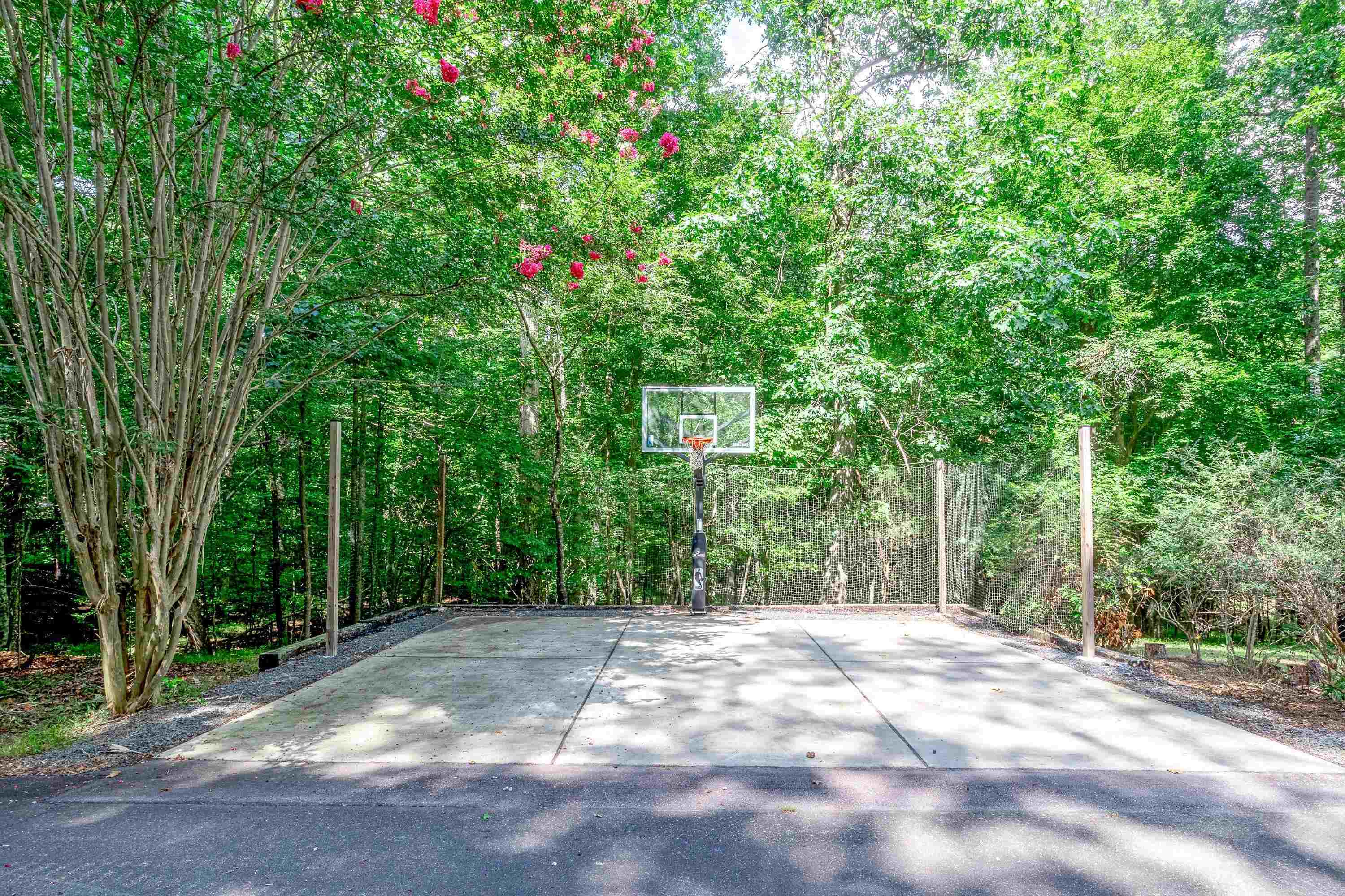 2420 Windsor Trail Raleigh, NC 27615 - Photo 63 of 72 a backyard of a house with large trees and plants